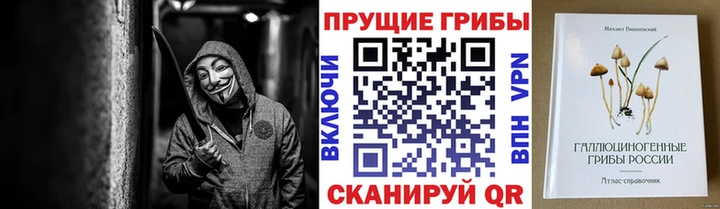 Купить  Лысьва  Галлюциногенные грибы Cubensis 